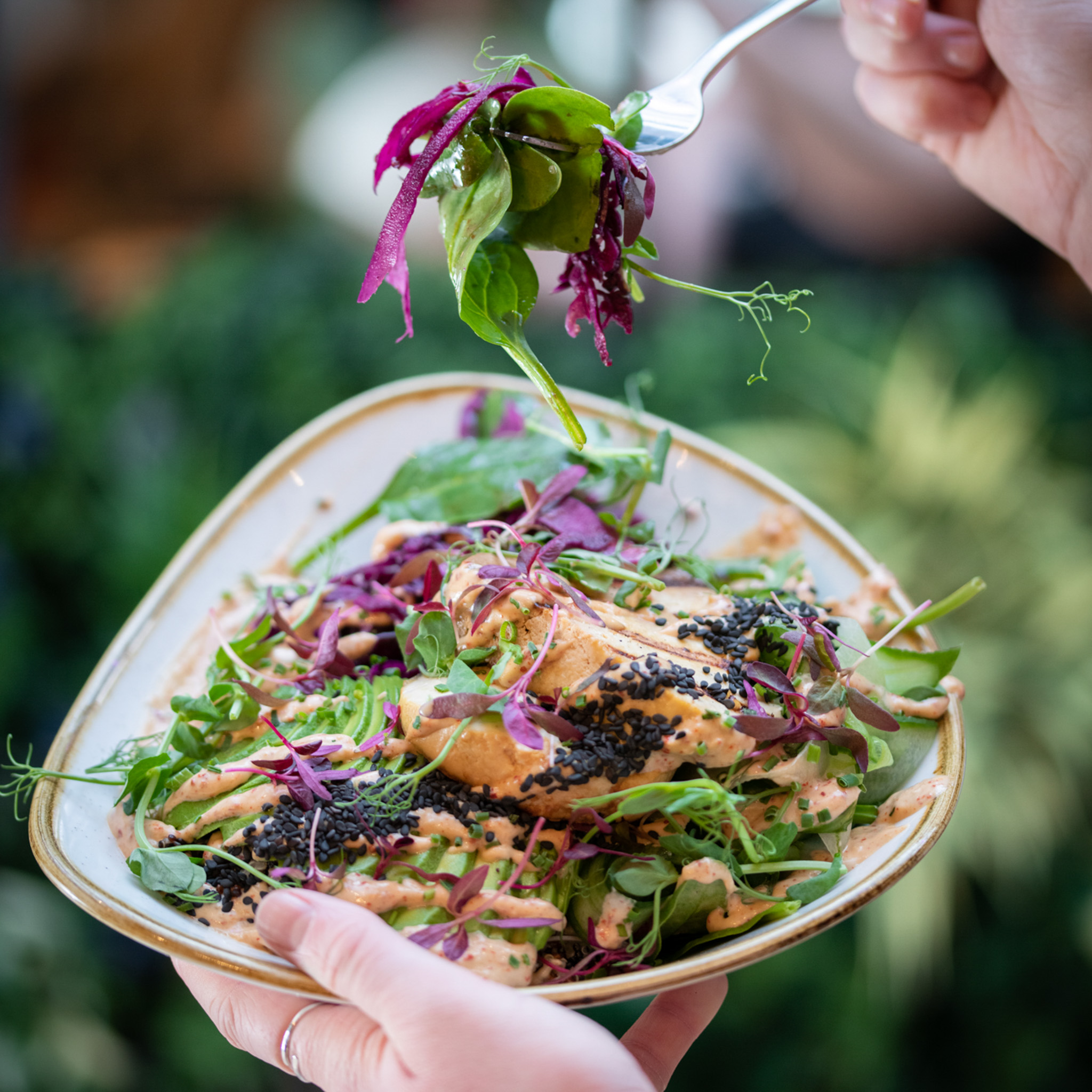 Health Salad from Moksha Brighton