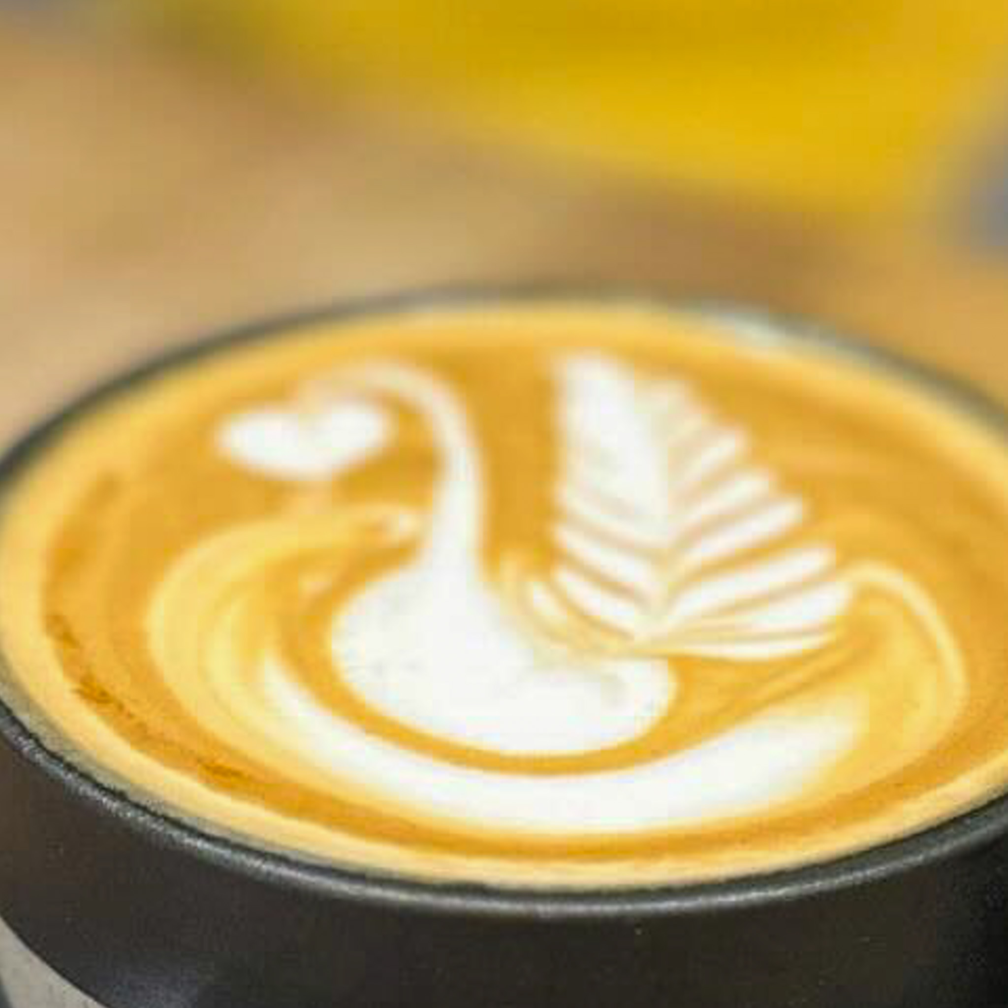 Moksha flat white coffee swan latte art