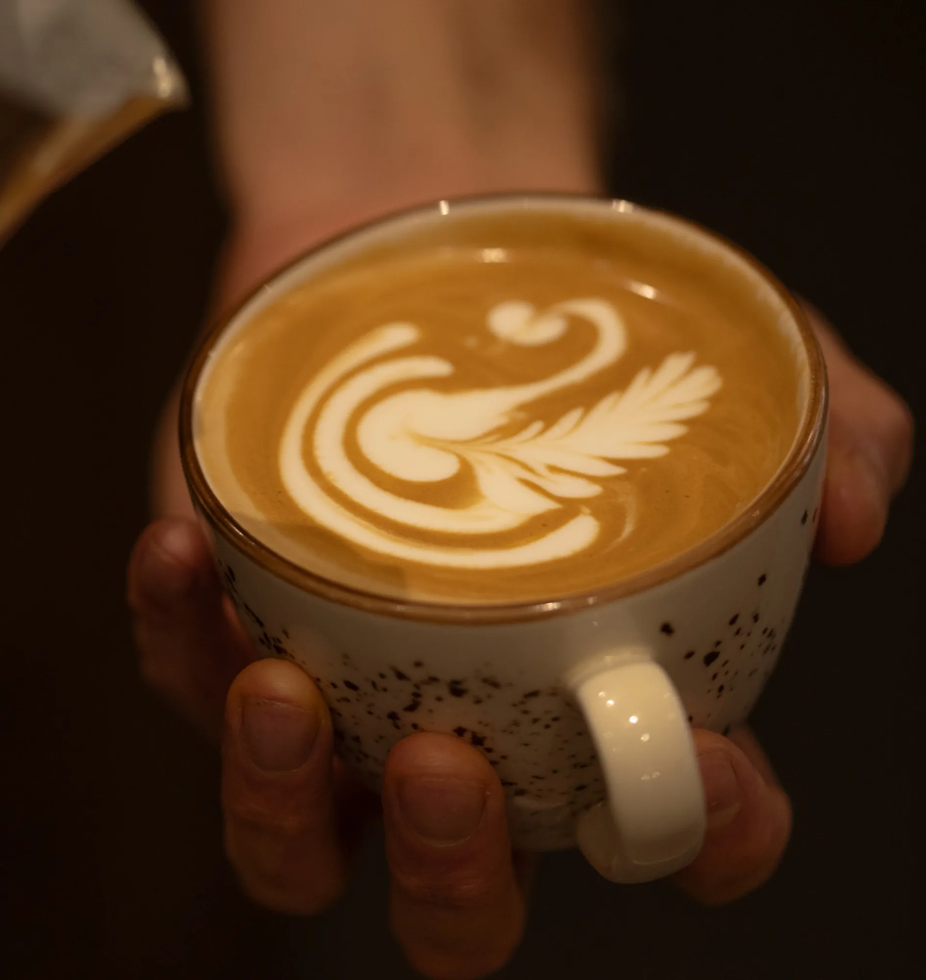 Moksha flat white coffee swan latte art